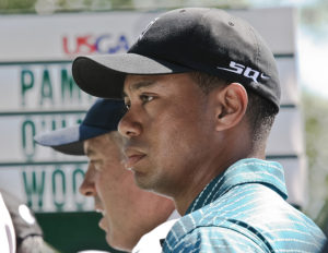 Tiger Receives Advice from an Experienced Pro 