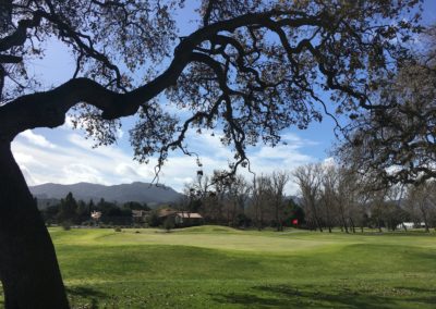 The 1st of Eight "Gallery" Images, Which Provide an Excellent Overview of the Benefits and Facilities that are Available at Westlake Golf Club – From the 18-Hole Course to the Driving Range to the Putting Green!