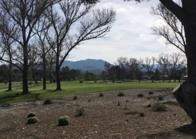 The 4th of Eight "Gallery" Images, Which Provide an Excellent Overview of the Benefits and Facilities that are Available at Westlake Golf Club – From the 18-Hole Course to the Driving Range to the Putting Green!